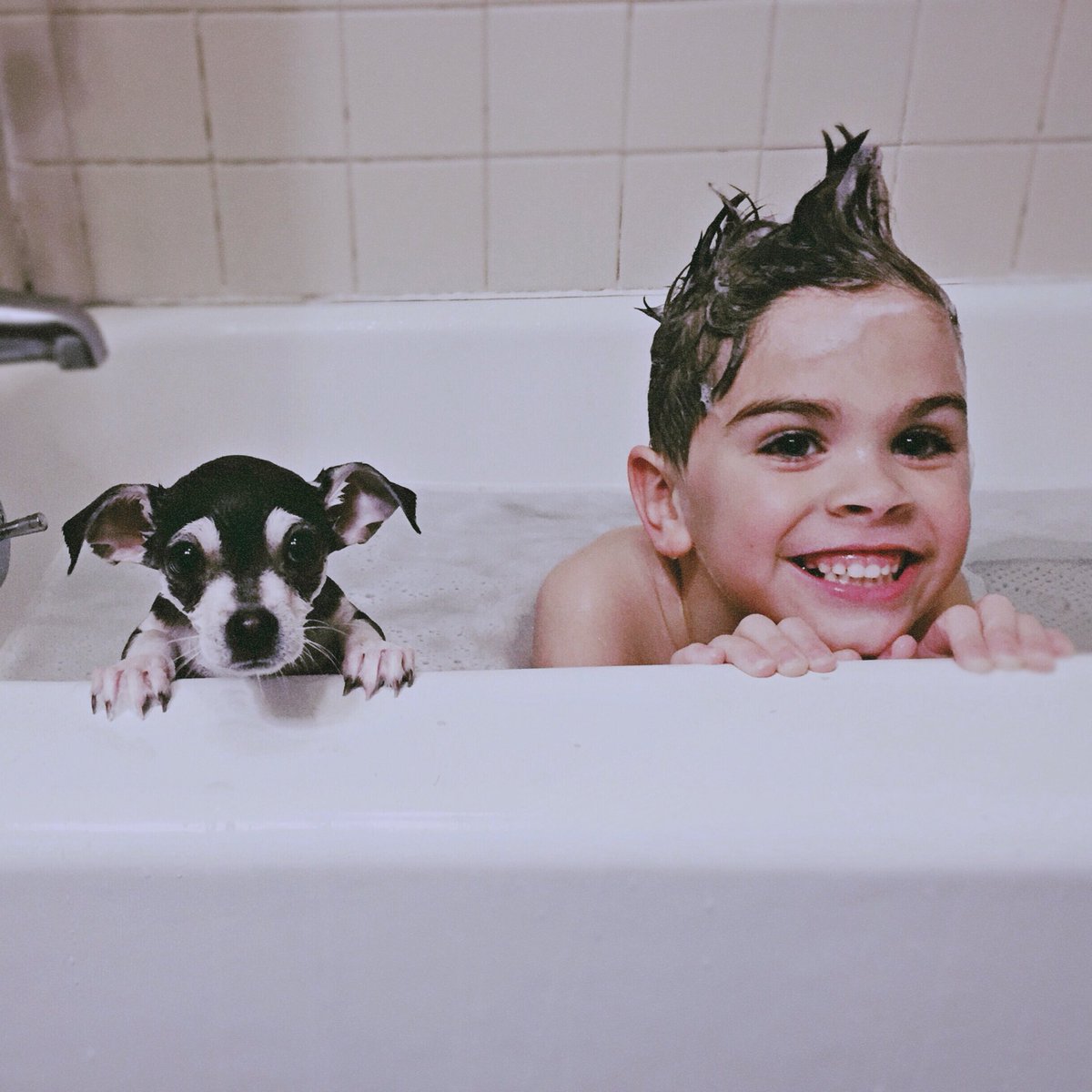 killlertv's tweet image. Yesterday was national puppy day or something. But I decided not to post because you’re way more then that to us. You’re not a puppy. You’re my daughter. You’re E’s sister. You’re our family. ❤️ #NationalPuppyDay but really #NationalDaughterDay.