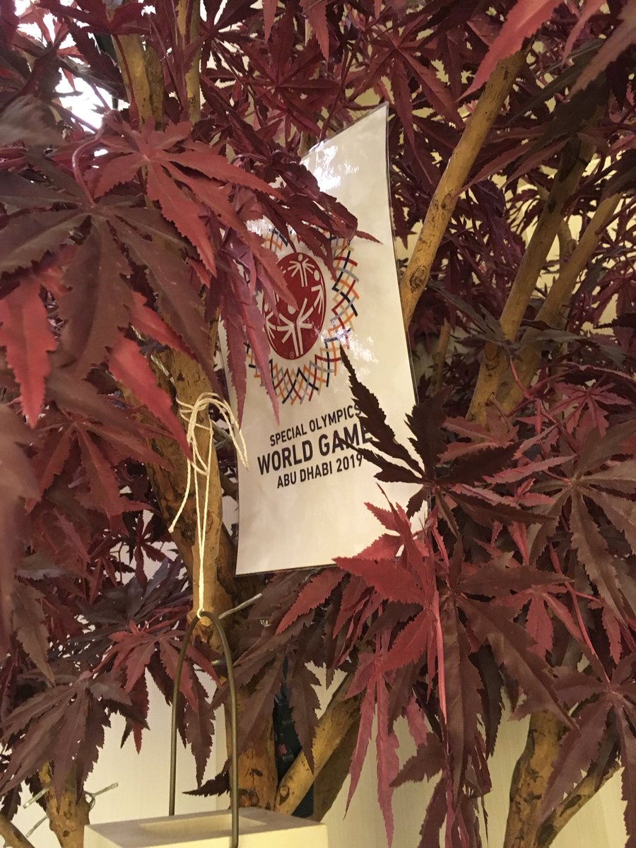 NiamhyD6's tweet image. Bonus points for the 6th Sign. You saw it here first with Team Zone 1 #TEAMSOGB #Voltraining #teambuilding #AbuDhabi2019 @SOGreatBritain