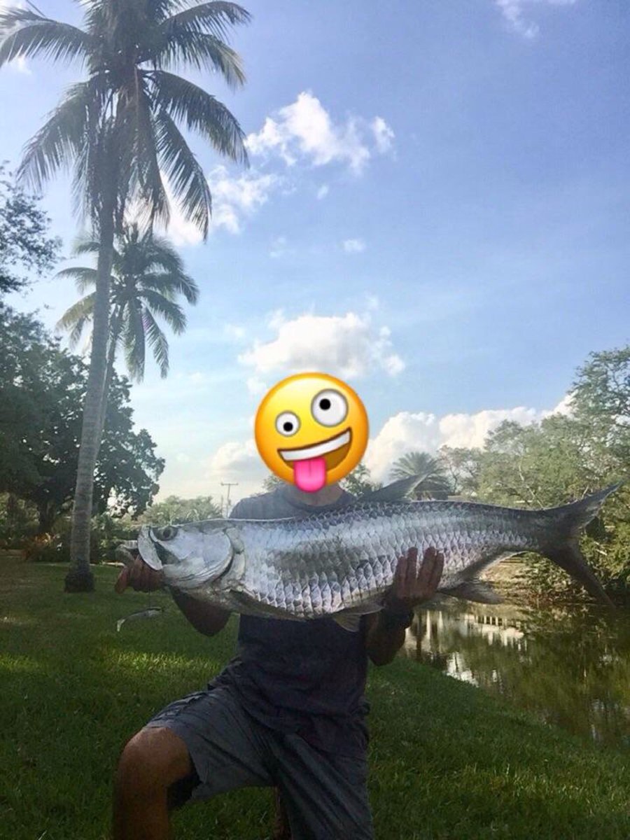 FishermanEscape's tweet photo. Tarpon https://t.co/qs6RegKdtz