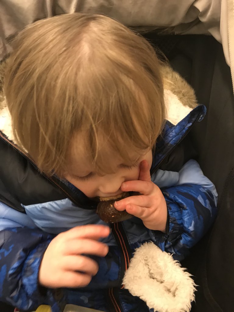 JRunsLiverpool's tweet photo. How do you eat yours?? No not the sugar filled creme eggs but @thenakery bliss bites?! Mylo loves them!! #PickThem #LickThem #StuffThemRightIn https://t.co/swLW2NoG15
