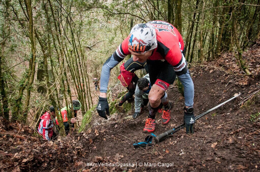 borgestrail tweet media