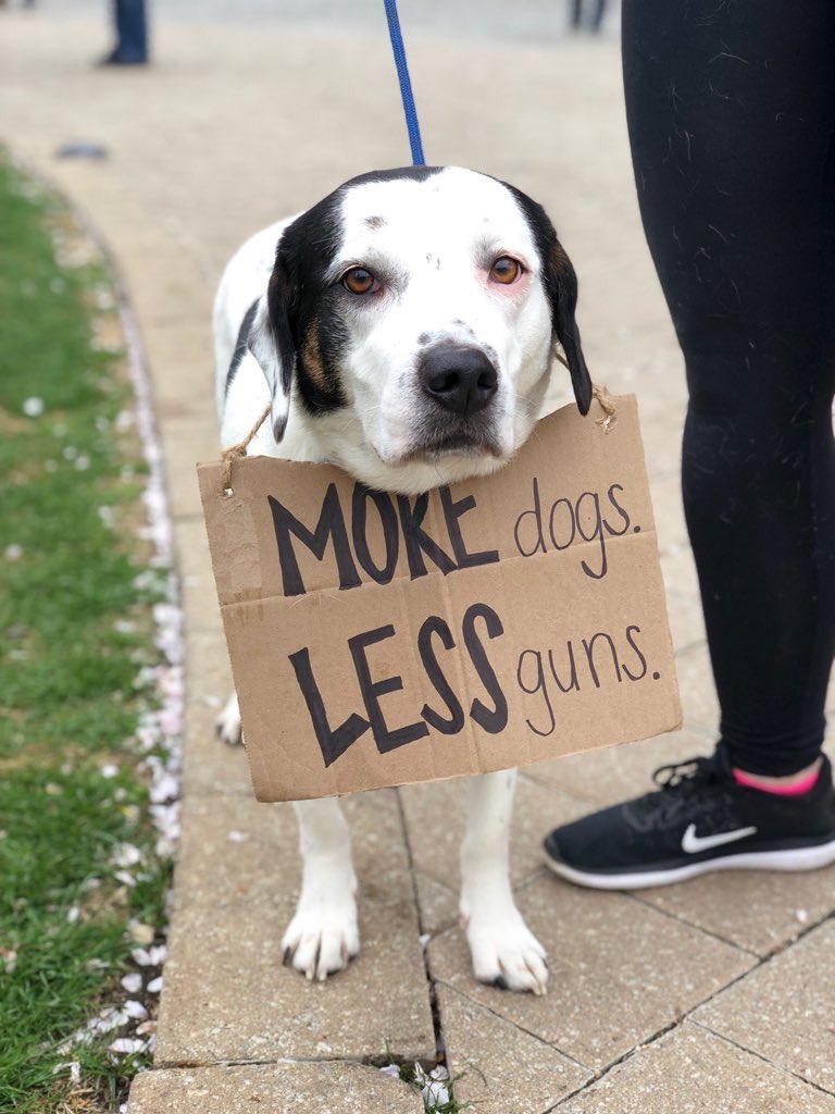 Here is a very supportive pup toting a simple statement while marching with her humans today. 14/10 #MarchForOurLives