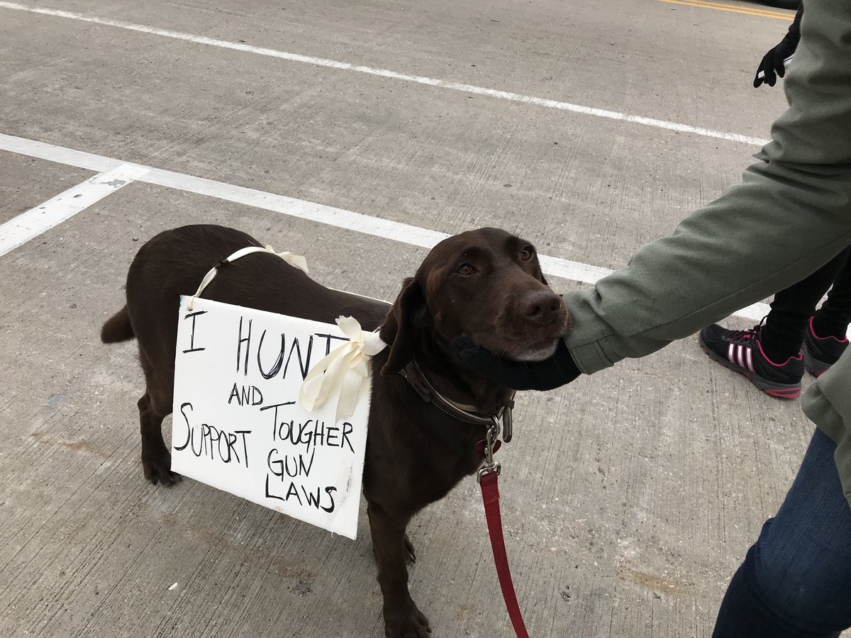 Best #MarchForOurLives sign at the Fort Atkinson event! #dogs #wisconsin