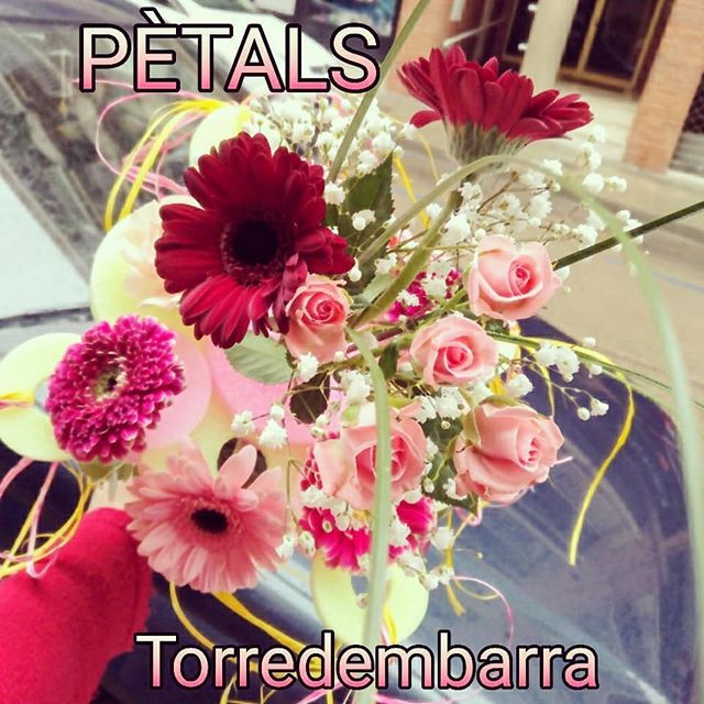 petalslatorre's tweet photo. - TANT SI PLOU COM SI FA SOL ... REGALA FLORS !!
- ¡ Llueva o haga Sol...Regala una Flor !!
#detallsflorals #detallesflorales #ramsdiferents #ramsdeflors #ramosdeflores #ramosdiferentes #flors #flores #florsdecolors #floresdecolores #gerberes #gerberas #artfloral #arteflora… https://t.co/VU74OiYqVk