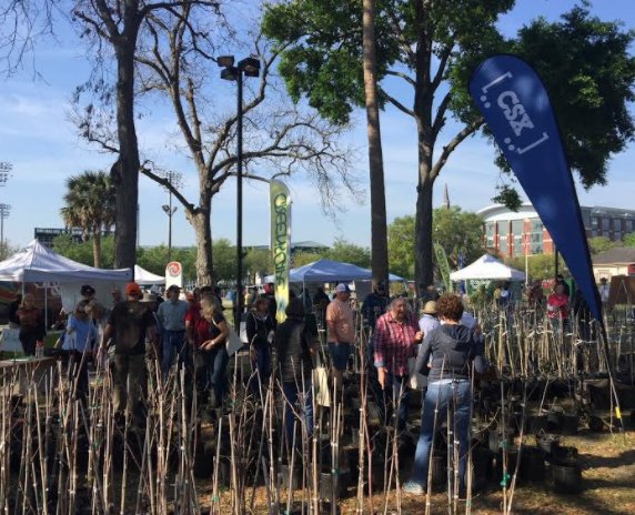 CSX's tweet photo. #TeamCSX, through its partnership with the @ArborDay Foundation, is sponsoring a tree give-away at Greenscape of Jacksonville's Arbor Day Festival, today between 9:00 a.m. and 2:00 p.m. #CSXCommunity https://t.co/JMKK7qY630