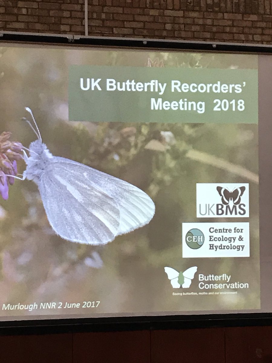 NicholasPackham's tweet photo. @DrBulman talking about the Heath Fritillary and how @savebutterflies are working hard to encourage itโs food plant, the common cow wheat #BC50th https://t.co/OKGzA4NMDU