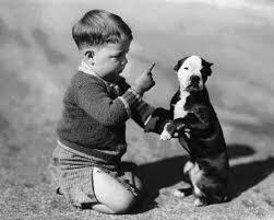 MoishesMom's tweet photo. Pitbulls through the ages.... https://t.co/jTgeCfbWXF
