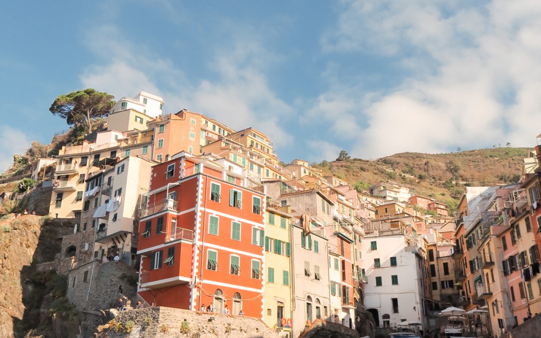 Loose Project tweet media