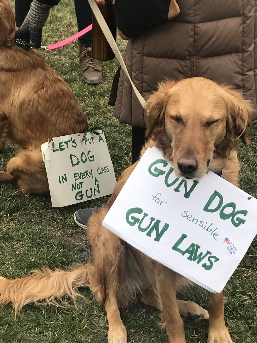 Jeff Ting tweet media