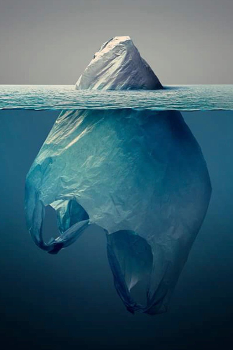marulluinewton's tweet photo. Plastic Bag --------------- (c) Jorge Gamboa https://t.co/RQrKl7mNgQ