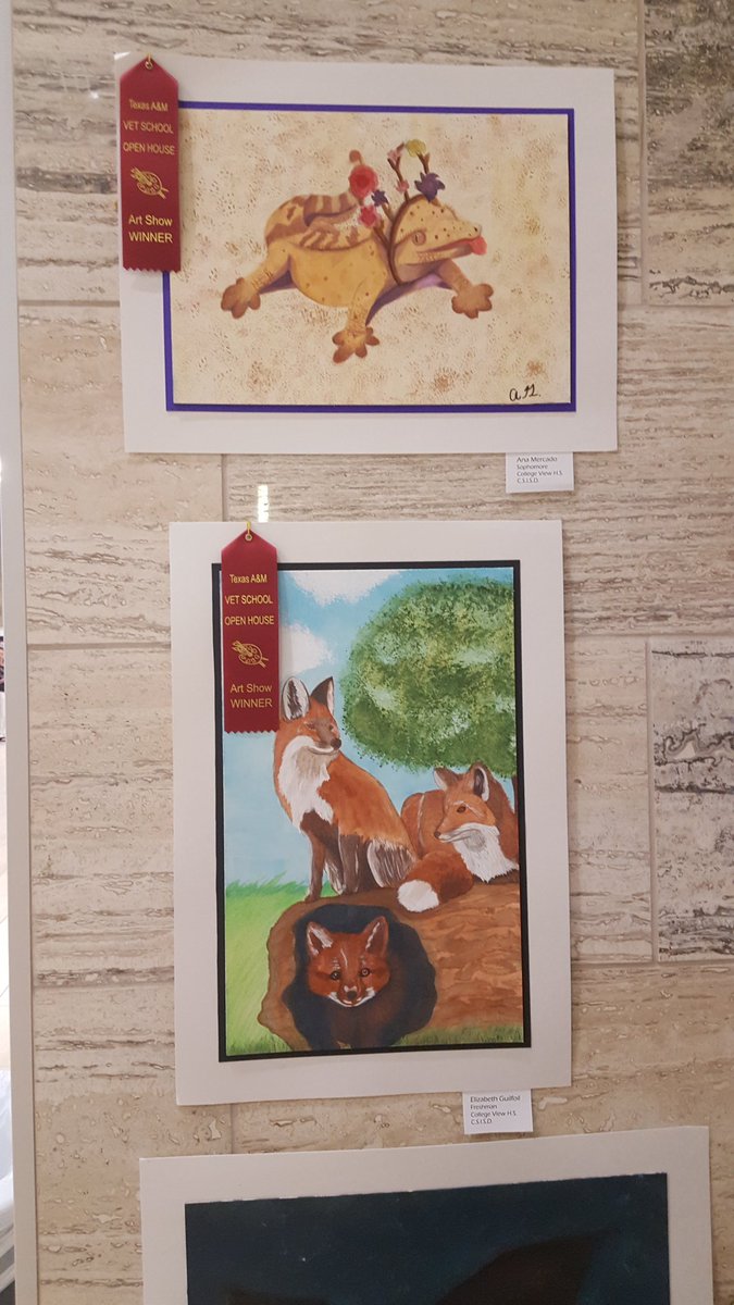 CollegeViewHS3's tweet photo. Several #CVHSTWolves earned honorable mentions at the #TAMUCVMOpenHouse2018 art show.  JJ Sanchez placed 5th overall with his fox painting.   Also earning honourable mention ribbons were Khristal Frewaldt, Elizabeth Guilfoil, and Analy Mercado. #SuccessCSISD https://t.co/ya5r90C5h8