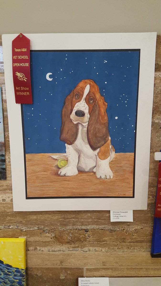 CollegeViewHS3's tweet photo. Several #CVHSTWolves earned honorable mentions at the #TAMUCVMOpenHouse2018 art show.  JJ Sanchez placed 5th overall with his fox painting.   Also earning honourable mention ribbons were Khristal Frewaldt, Elizabeth Guilfoil, and Analy Mercado. #SuccessCSISD https://t.co/ya5r90C5h8