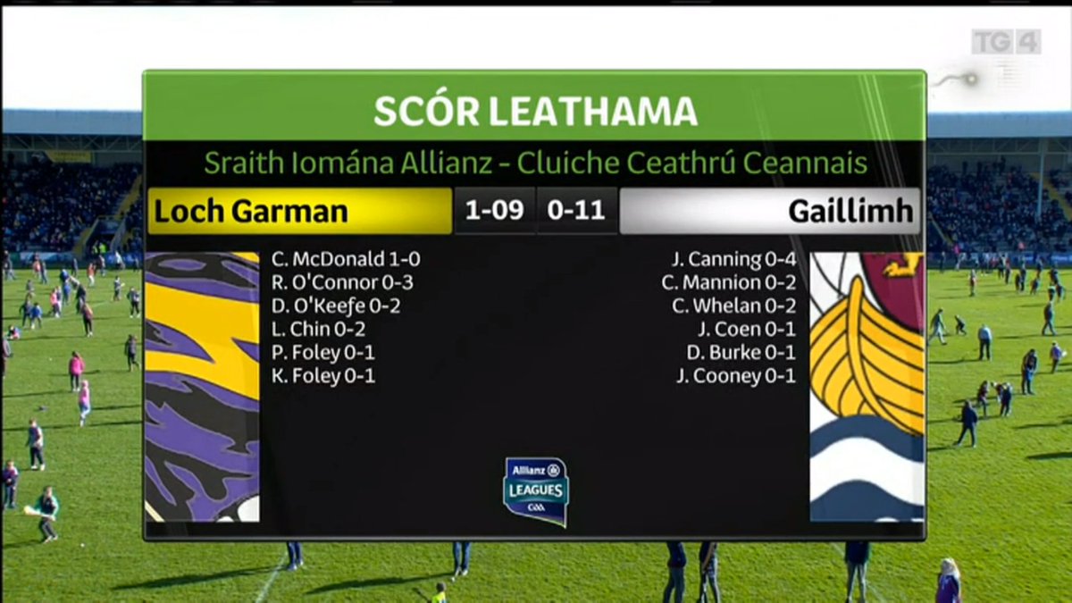 mayohurling's tweet image. @GAA_BEO Wonderful to see the crowd of people, young and old, playing hurling on the pitch at halftime in @OfficialWexGAA Park. #wexvgal #Bringyourownhurley 🏒 #insurancenightmare 🤣 #AllianzLeague 👌