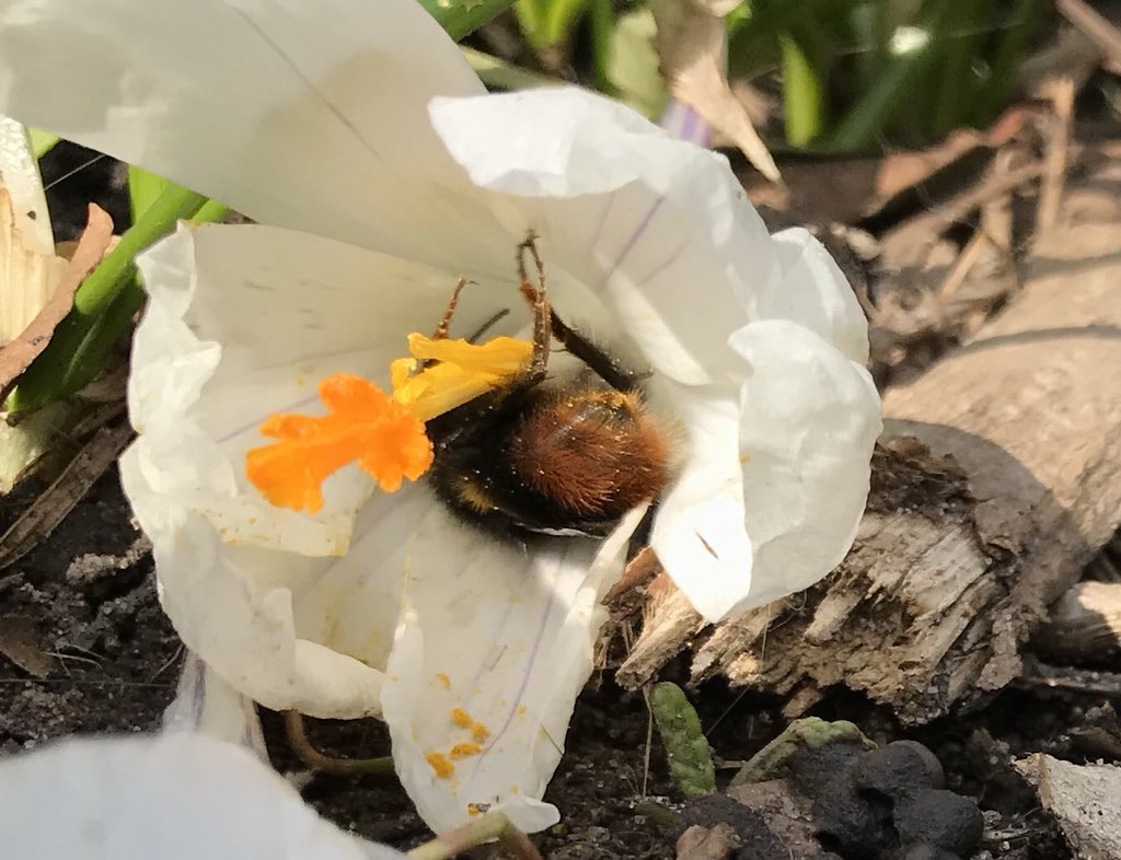 Maarten Veldhuis 💬 tweet media