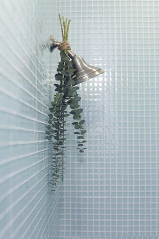 Tegeltrend_1's tweet photo. Probeer eens wat takjes rozemarijn, eucalyptus of lavendel aan je douchegordijnrail te binden en ontdek het zelf! https://t.co/XheTHfNWex