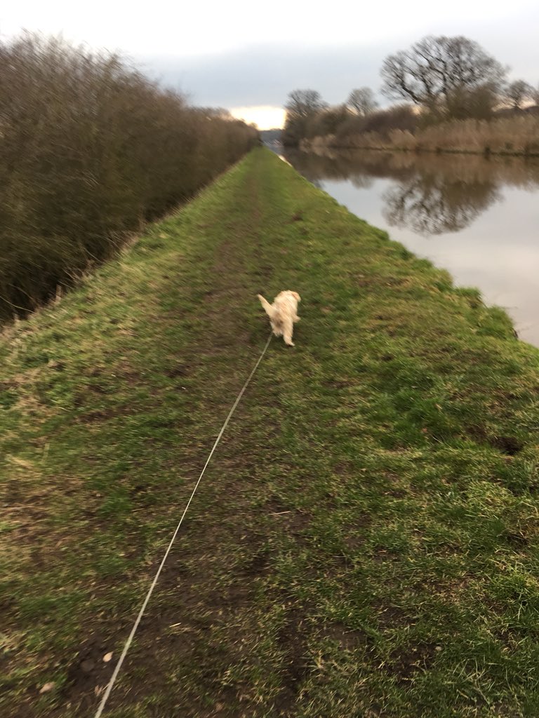 sgaitch's tweet photo. @AniSutton @CanalRiverTrust lovely walk just outside Market Drayton today https://t.co/HtFidiVjgV