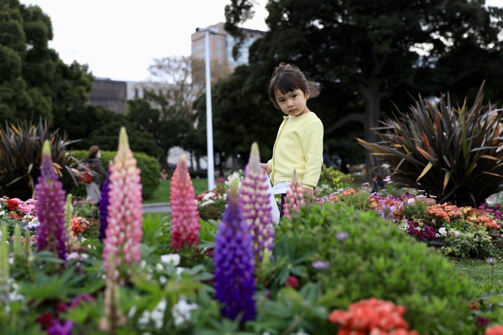 姜耀寧on Twitter 春暖花开 山下公园 T Co Fh5okmjtcf Twitter