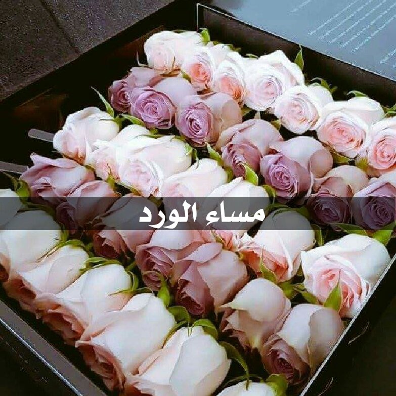 ما اشتقت ياحلووووووو
ماوحشتك تفاحتي 😜 😜