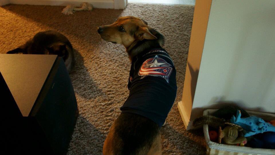 AmyLarge73's tweet photo. #5THLINE #cbj Ally would love to win a jersey tonight! https://t.co/CQbx5BWQck