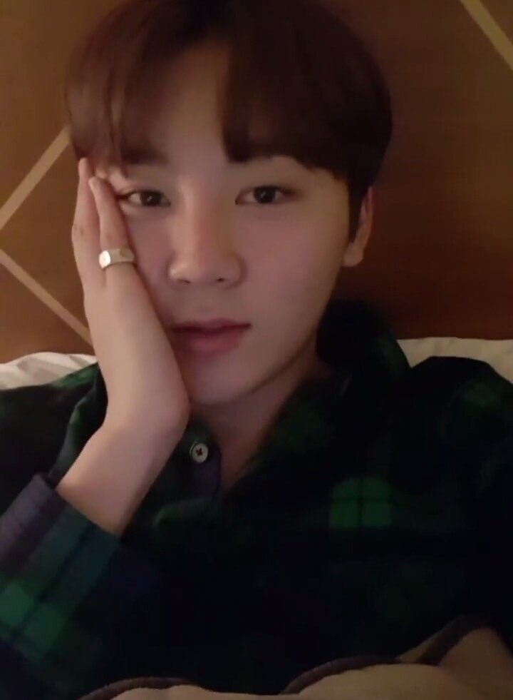 basingseungkwan's tweet photo. #TransCarats Seungkwan's favorite enby https://t.co/jXApQxeMYQ