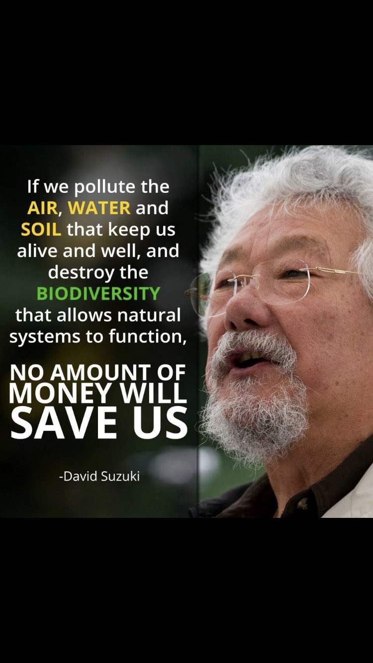 Happy Birthday David Suzuki 