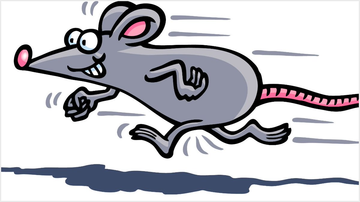 SOMERSET PRESS (@stevesowden2) on Twitter photo Our money is on Mickey! Live mouse racing tonight (Sat, March 24, 2018) at the Archie Gooch Pavilion <a href="/AGPavilion/">Ilminster Sports Club</a> in #Ilminster #Somerset with the <a href="/HarlequinCC1972/">Harlequin Carnival Club</a> – fun night ahead! Details - bit.ly/2GhM7up Our money is on Mickey! Live mouse racing tonight (Sat, March 24, 2018) at the Archie Gooch Pavilion <a href="/AGPavilion/">Ilminster Sports Club</a> in #Ilminster #Somerset with the <a href="/HarlequinCC1972/">Harlequin Carnival Club</a> – fun night ahead! Details - bit.ly/2GhM7up