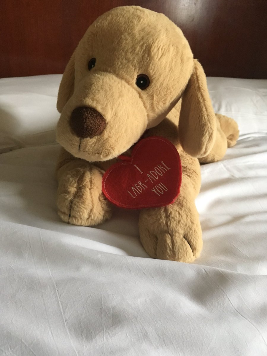 MissSwansonMods's tweet photo. Nothing but praise all day for the high quality advocacy displayed by the team. Great effort by all. Fantastic competition. #bmtfinal Thanks @MockTrials Time for a snoozeπ΄ https://t.co/lZWic4vION