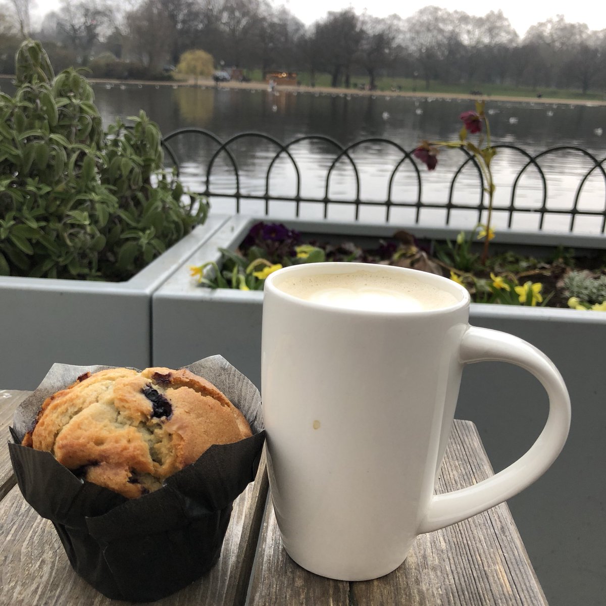 notjoshbeall's tweet photo. I think I love #London, coffee and muffin in #HydePark. This is a wonderful afternoon!! https://t.co/t8tpN2G1YL