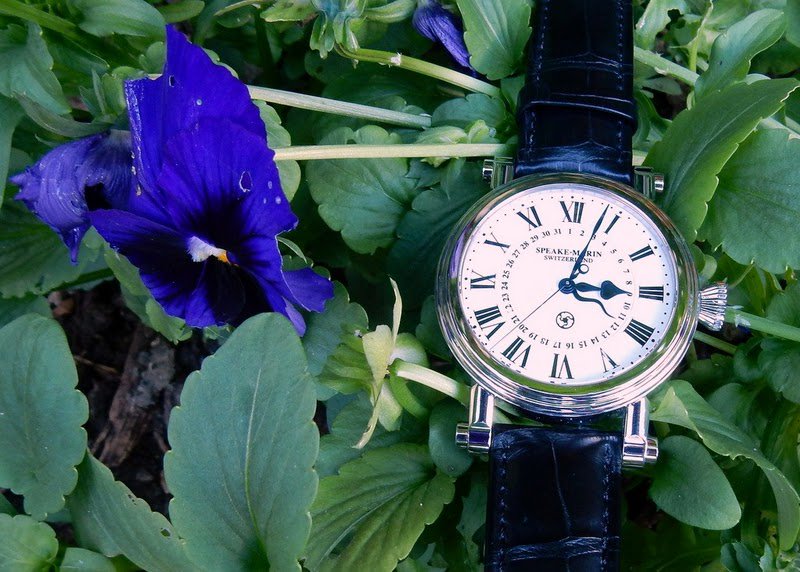 PuristSPro's tweet image. A snake in the bushes...
goo.gl/N2KLtk
#Independents
#Speake-Marin