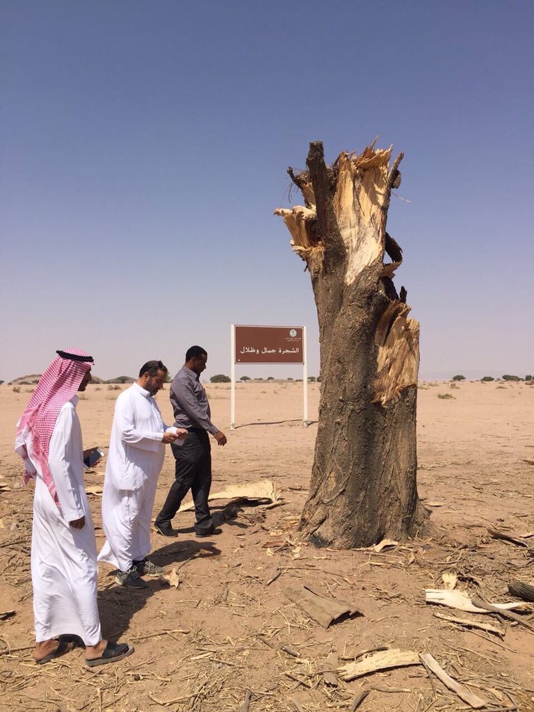 خالد العصيمي tweet media