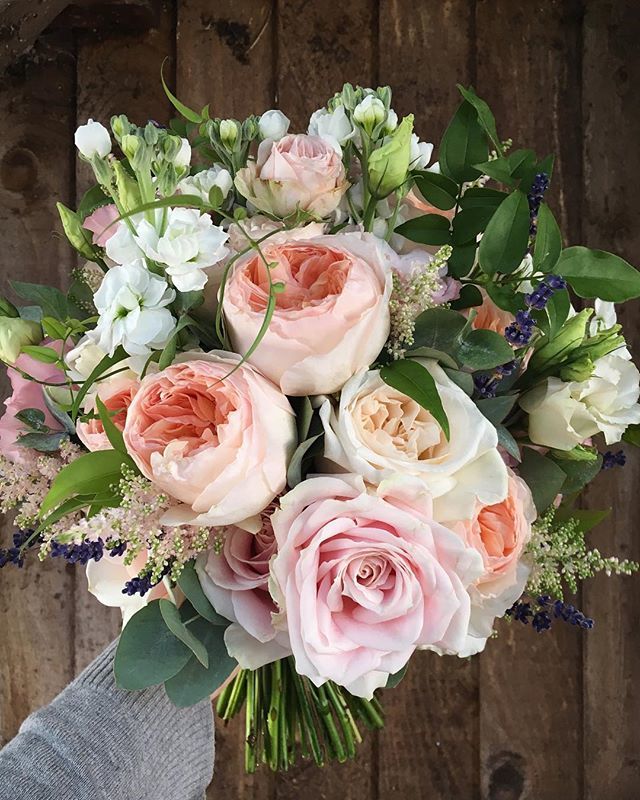 steph turpin tweet media