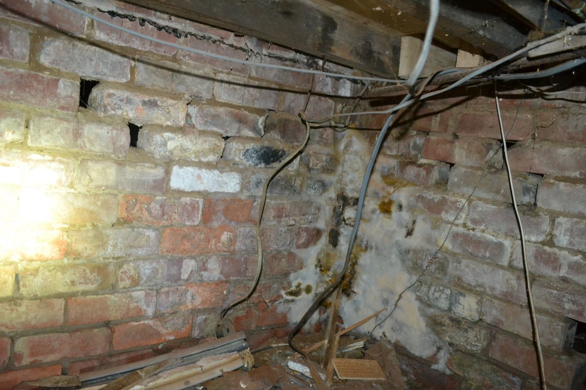 gfleming_2212's tweet image. Inspection in Manchester yesterday with @PeteWard7 - Dry Rot outbreak from two leaking gullies which were fixed by the insurance company but they didn't consider sub-floor ventilation when they replaced the floors the 1st time. #Decay #poorworkmanship #dryrot