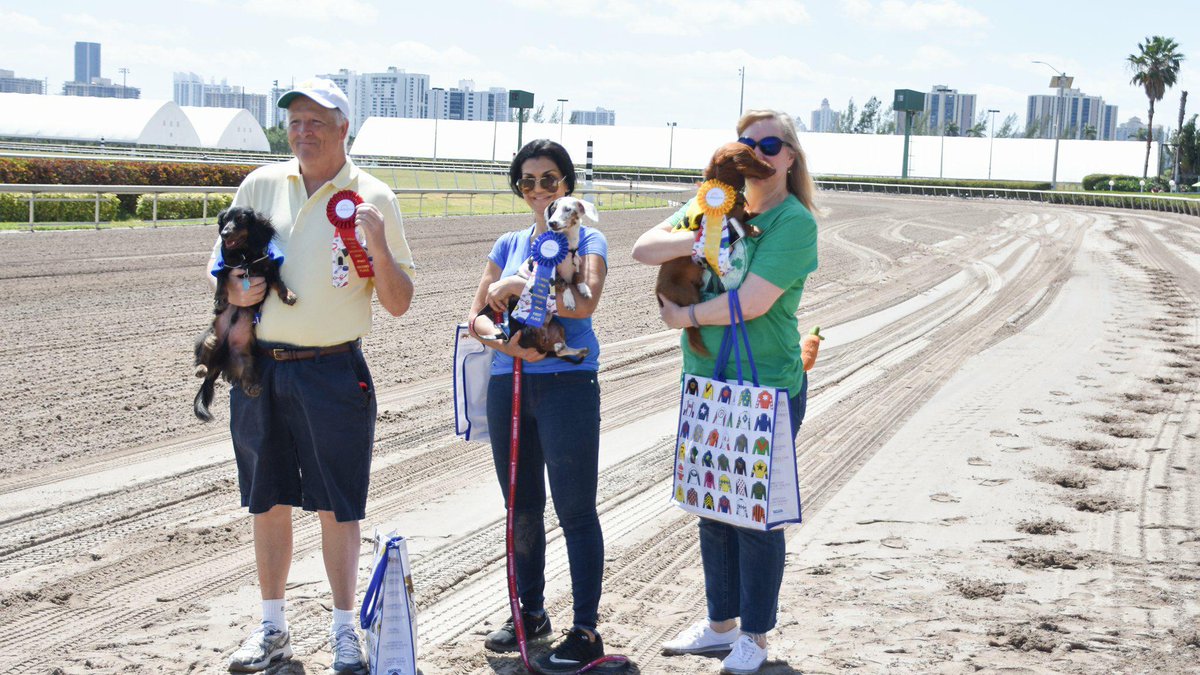 GulfstreamPark's tweet photo. The images of the 5th race of the Dog Wiener Derby challenge at #GulfstreamPark.

Congratulations to the happy winners! https://t.co/QoooW0rrQv