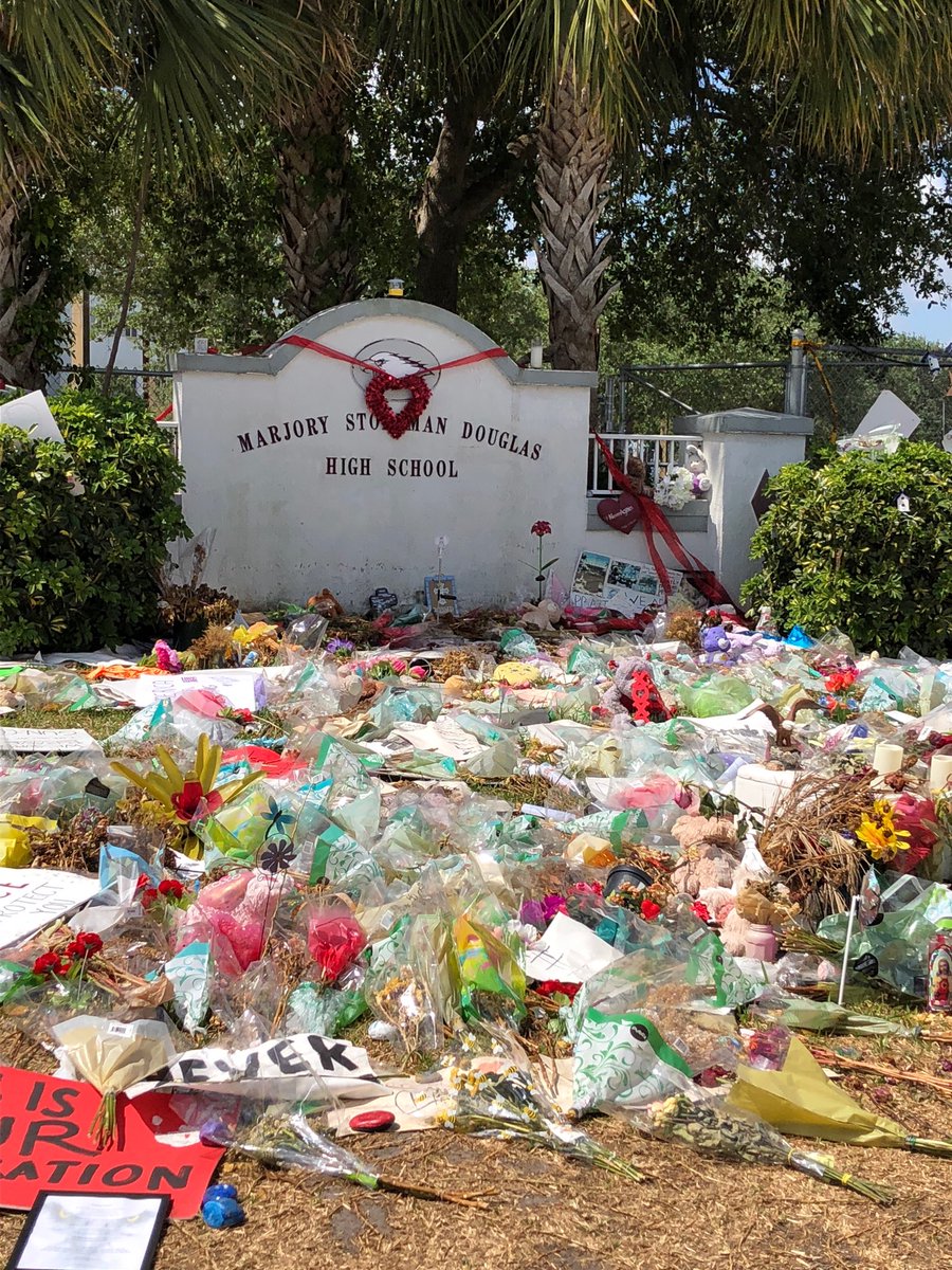 cybeleg1's tweet image. #MarchForOurLives #nowordsforthis #NeverAgain #parklandflorida