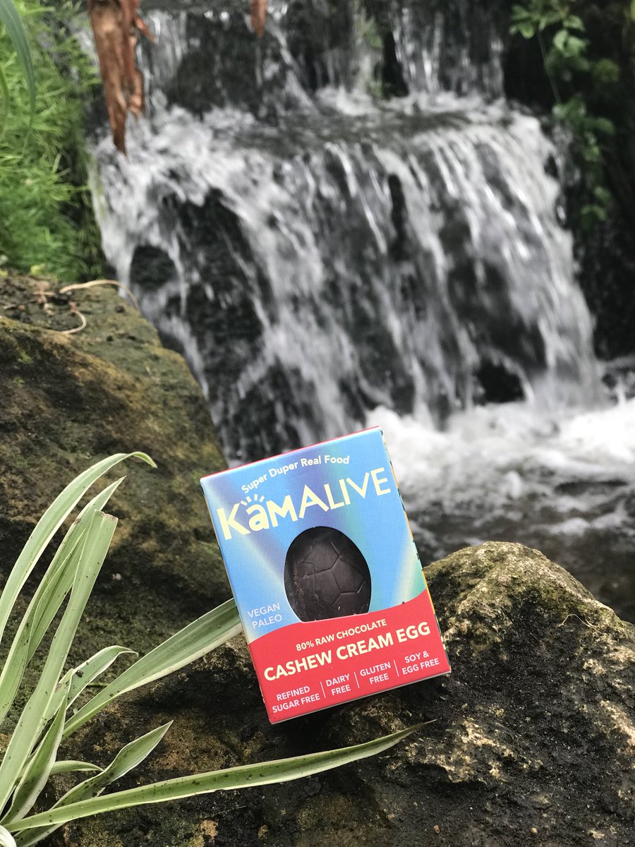 joywoolass's tweet photo. We had an egg citing day at Stratford with our cashew cream egg! @KamAliveChocs https://t.co/NR8CAbnC2E