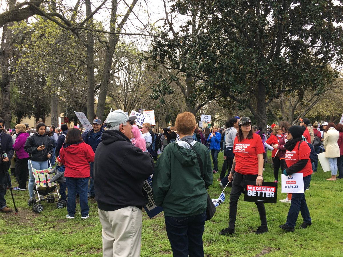 JaneRobb1's tweet photo. Gathering at the park. #marchforourlivessacramento https://t.co/AnafQuhJdo