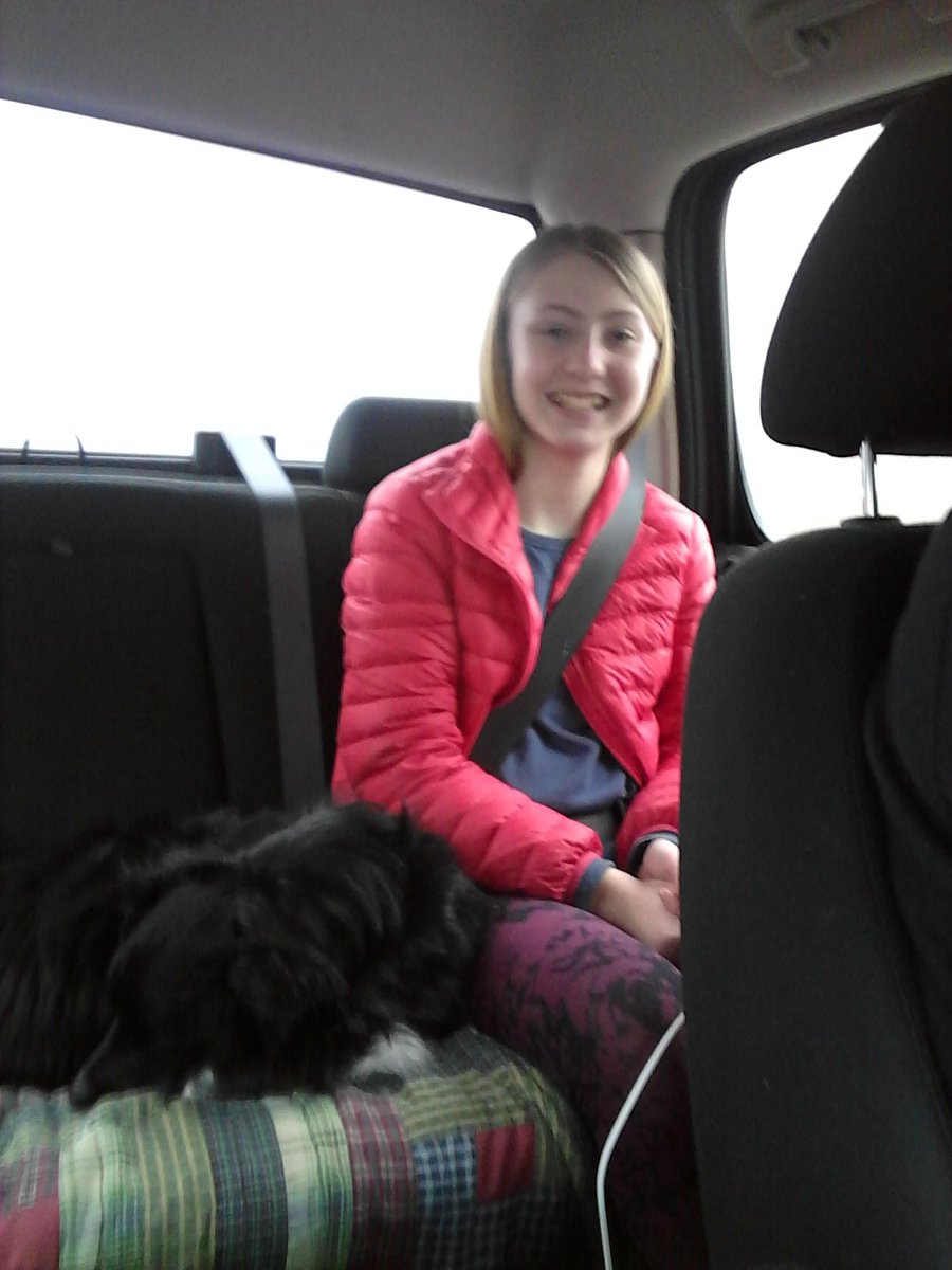 Snugle's tweet photo. Jaelen and her travel buddy. #hegoeswherewego #dogslife https://t.co/oyPNK19HsW