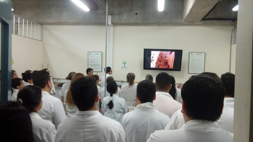 micaneiva's tweet photo. Hoy en el CCAV Neiva, laboratorio de Biologia, @cienciasunad @ECBTI_Neiva @ECAPMACCAVNeiva @ClaudioCamiloG1 https://t.co/DrnkSyHY0Y