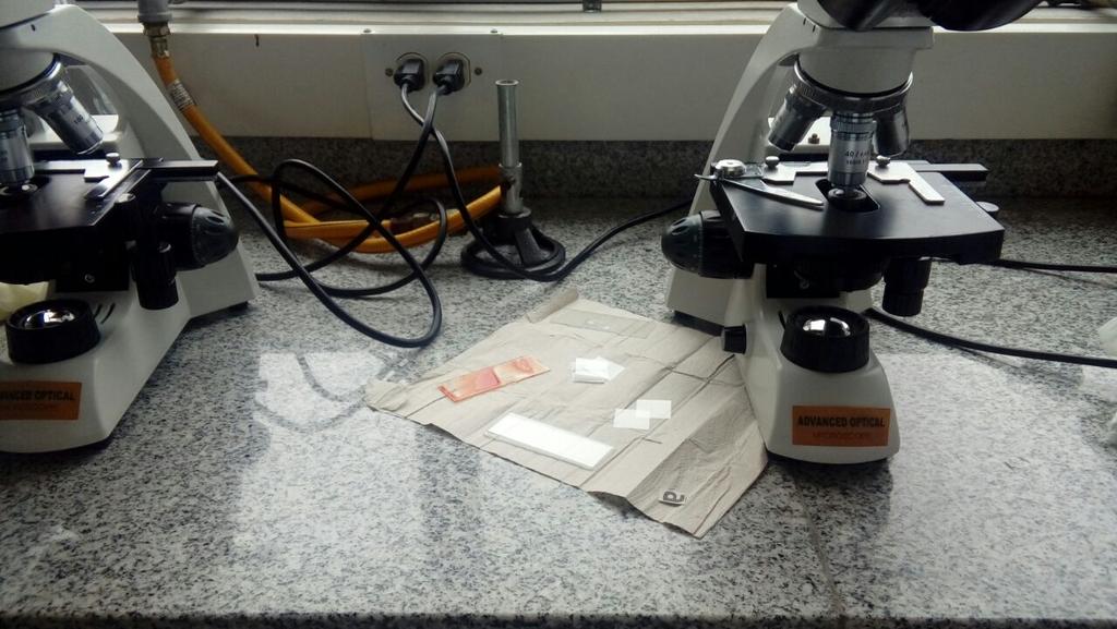 micaneiva's tweet photo. Hoy en el CCAV Neiva, laboratorio de Biologia, @cienciasunad @ECBTI_Neiva @ECAPMACCAVNeiva @ClaudioCamiloG1 https://t.co/DrnkSyHY0Y