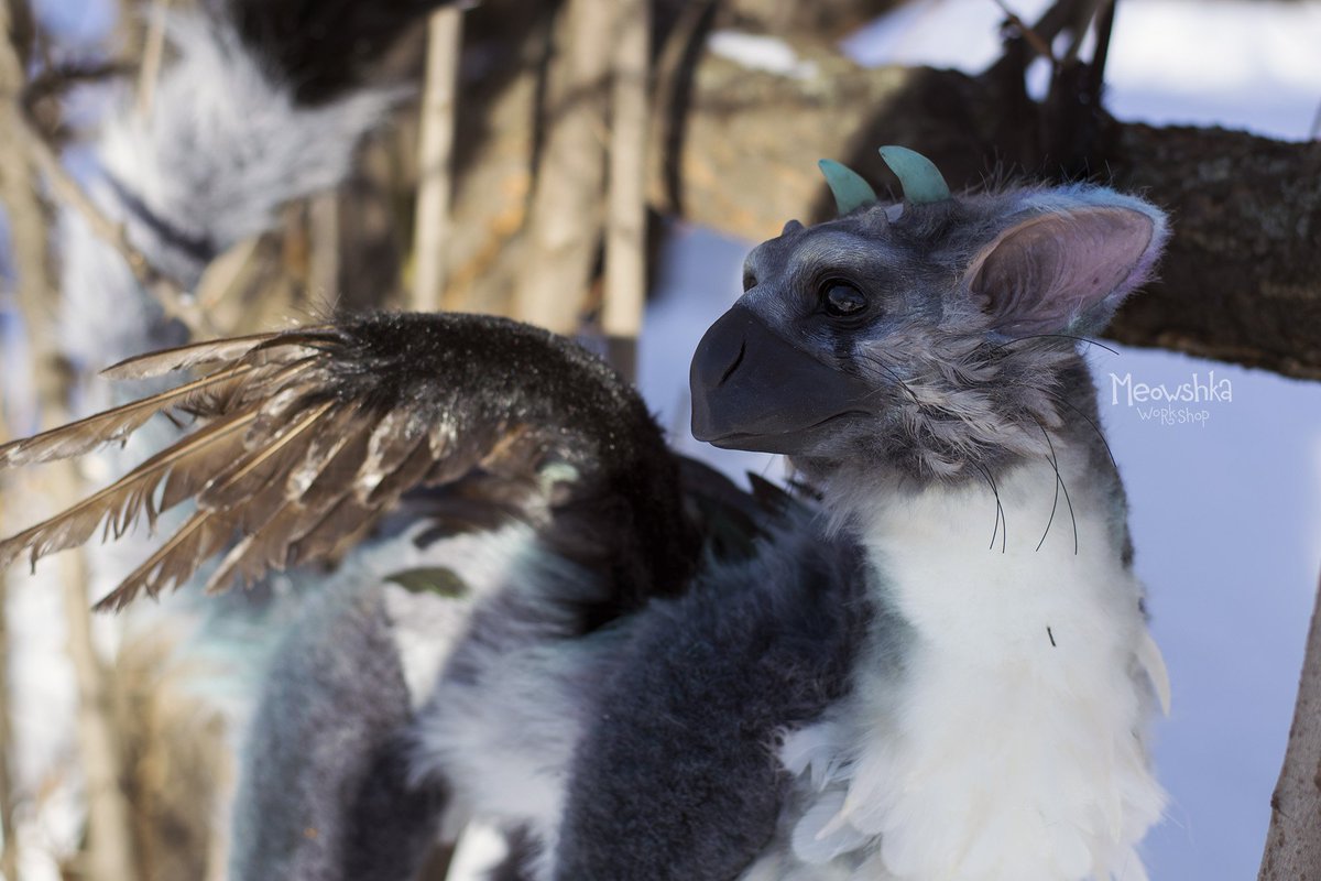 VAjjKer12's tweet photo. #TheLastGuardian #人喰いの大鷲トリコ #トリコ #鳥の子 #TeamTrico (Part 2 frm 3)
https://t.co/GmVJq9nv70
https://t.co/YLh5UZge3r