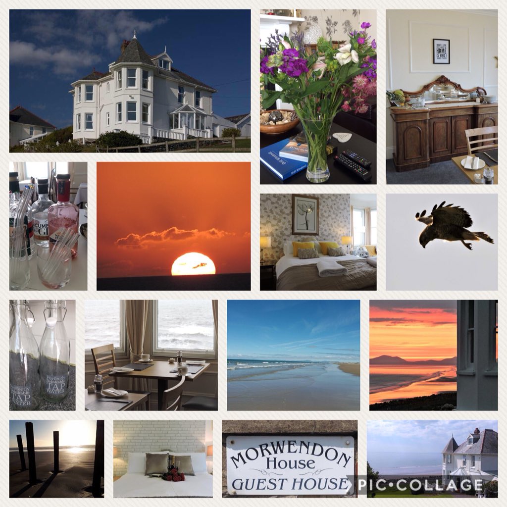 morwendonhouse's tweet photo. A pictorial montage of what Morwendon offers. Great views and a warm welcome await our guests with whom we share our fabulous home. 
Happy #NationalBandBDay from Kate, Rob, Dodge, Hemi &amp; Princess. #2Doodles&amp;acat #GuestHouse 
https://t.co/JuSFWfwm2H https://t.co/icO2UxFJYe