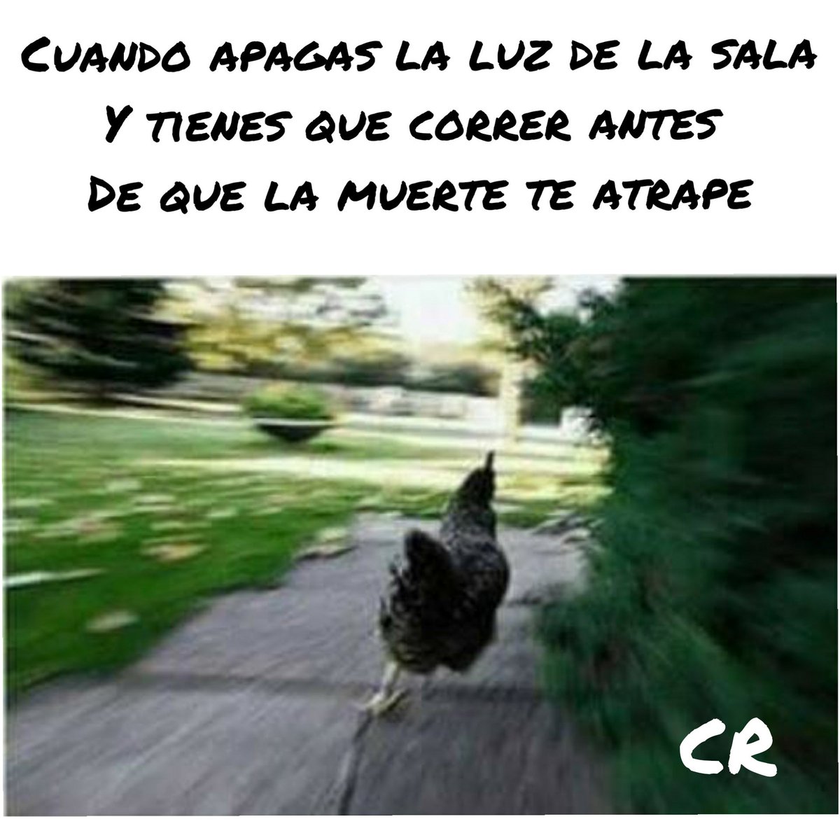 Todos lo hacemos 😂 - - - #hahaha #verdad #gallina #miedo #oscuridad #luces  #muerte #correr #meme #divertido #comenta #comparte #like #sigueme #nuevo, image size:1200x1200