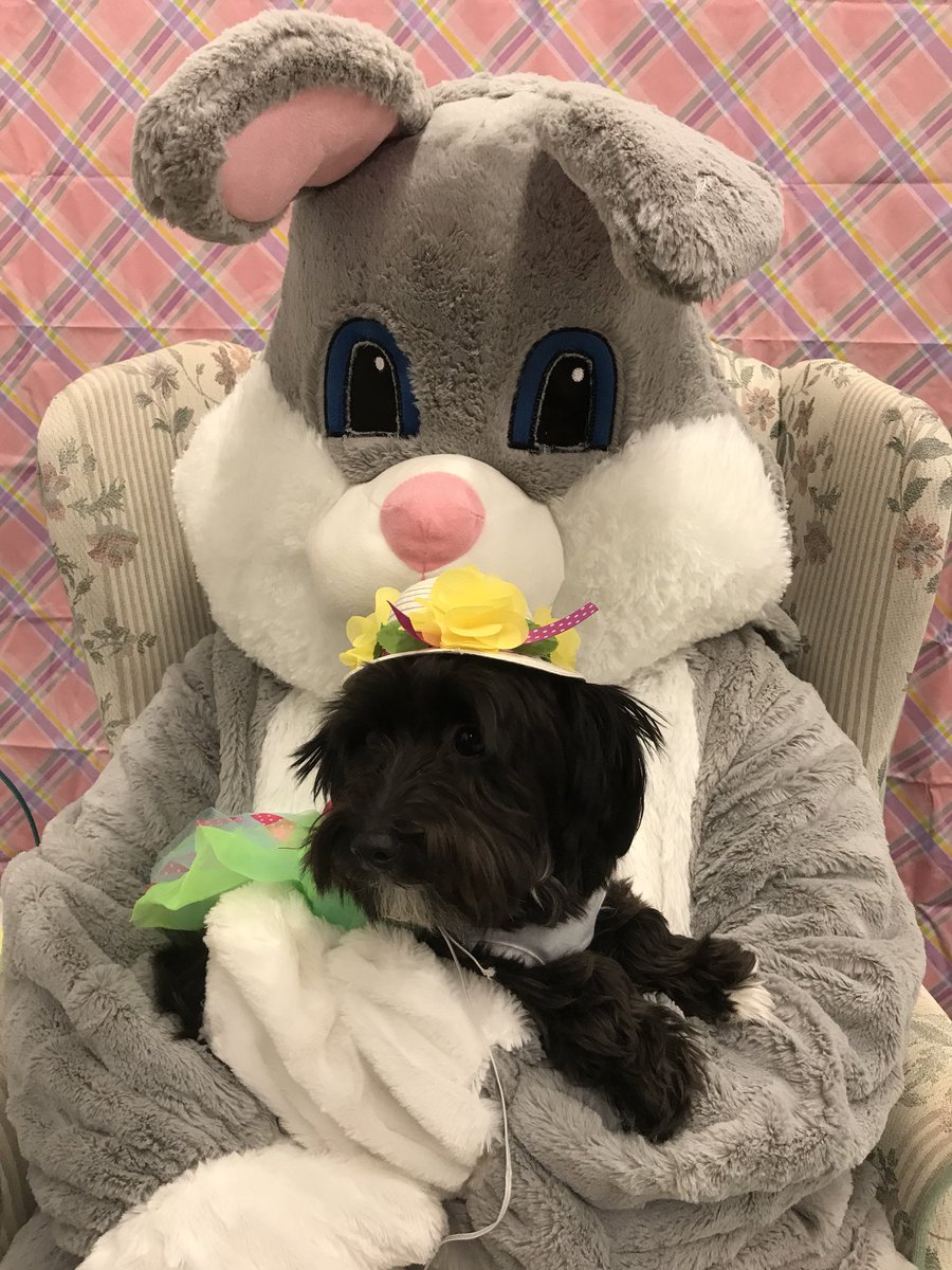 Miss Winnie came all dressed up for her Easter photos! #welovepets #easterphotos #petsmartberlin