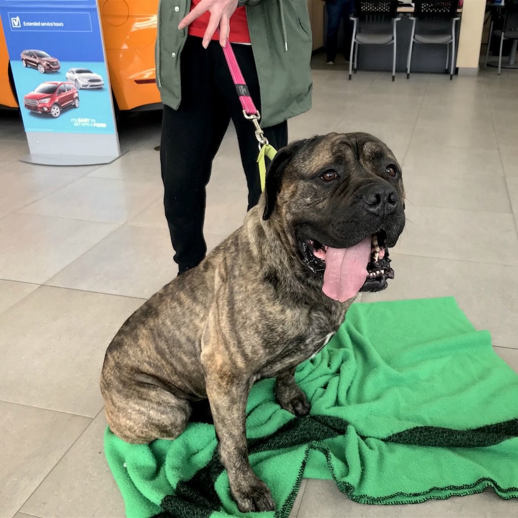 Edmonton Humane on Twitter "Sending a big THANK YOU to SherwoodFord