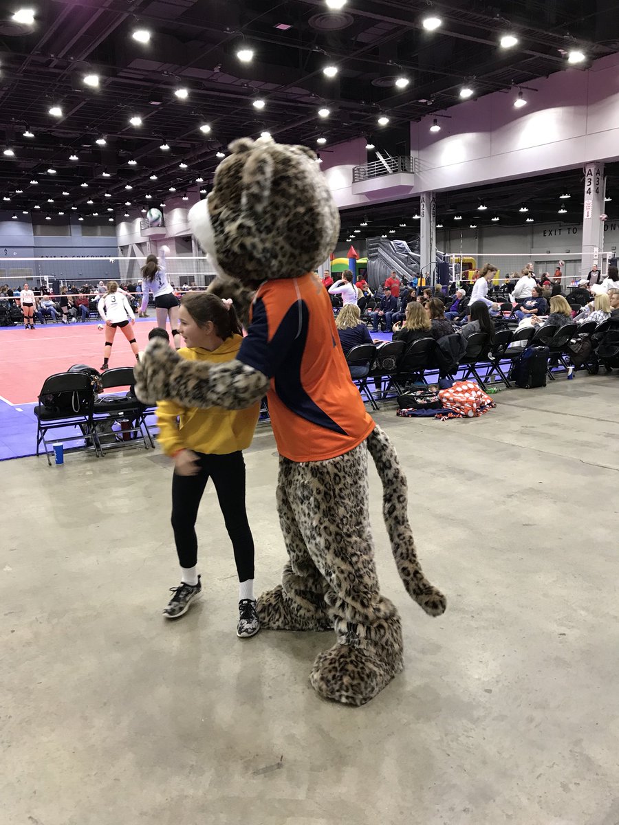 jvavolleyball's tweet image. Who doesn’t love a great hug from Jinx? #jvabuckeyebattle