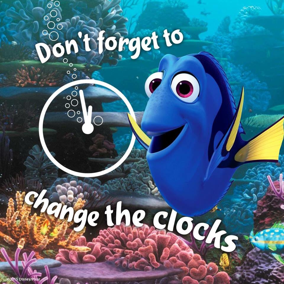 Tinks_Trinkets's tweet photo. ☀️🕰🌼🌺🌻🌸 https://t.co/PI54HtbXtH