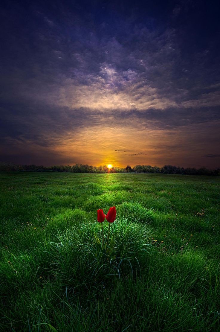 AbRazaq's tweet photo. Do not hate the one you once loved ~ Peer Sahib 

📸 Phil Koch https://t.co/O2KDDefwvV