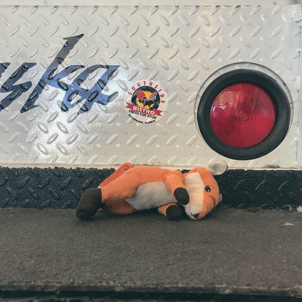 pussyrrriot's tweet photo. 😢 

yesterday the fox was LOST after we performed at #veraproject 

if you know where she is, PLEASE RETURN OUR FRIEND back to the family

( https://t.co/GNlDi3lDW6