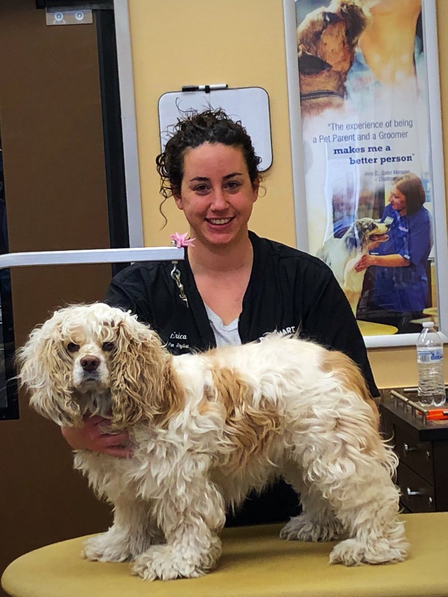 petsmart2480 tweet media