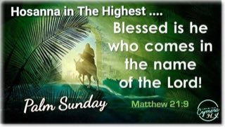 harrykthomasjr1's tweet image. Happy Palm Sunday Zimbabwe @usembassyharare